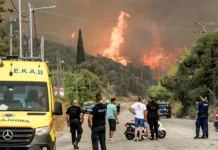 Πρωτοβουλία για είδη πρώτης ανάγκης για τους Πυρόπληκτους