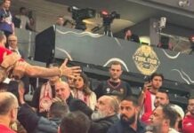 Ξύλο Μαρινάκη-Δημητριάδη στις εξέδρες του ΟΑΚΑ