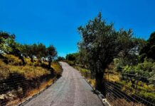 Σκιάθος: Έργο ασφαλτόστρωσης στην περιοχή Λειβαδάκια