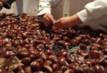 Συνάντηση Δημάρχου Κ. Καραγεωργίου με Υπουργό Αγροτικής Ανάπτυξης Μ. Σχοινά για τα κάστανα του Πηλίου