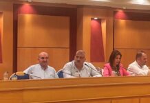 Ομόφωνα δεκτό από το Δ.Σ. της ΚΕΔΕ το αίτημα ένταξης της ελιάς Πηλίου στη συνδεμένη για τη νέα ΚΑΠ