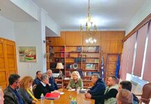 ΑΜΕΣΗ ΑΥΤΟΨΙΑ ΤΗΣ ΠΕΡΙΦΕΡΕΙΑΣ ΣΤΟΥΣ ΚΑΣΤΑΝΕΩΝΕΣ ΤΟΥ ΠΗΛΙΟΥ – ΚΑΤΑΓΡΑΦΗ ΠΡΟΒΛΗΜΑΤΩΝ