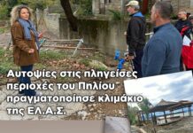 Κλιμάκιο της ΕΛΑΣ στο Νότιο Πήλιο